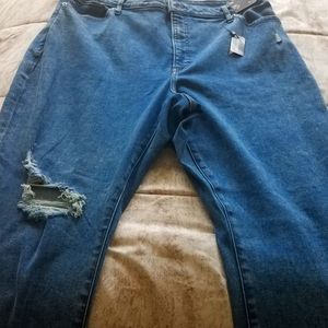 Express Curvy Skinny High Rise Jeans